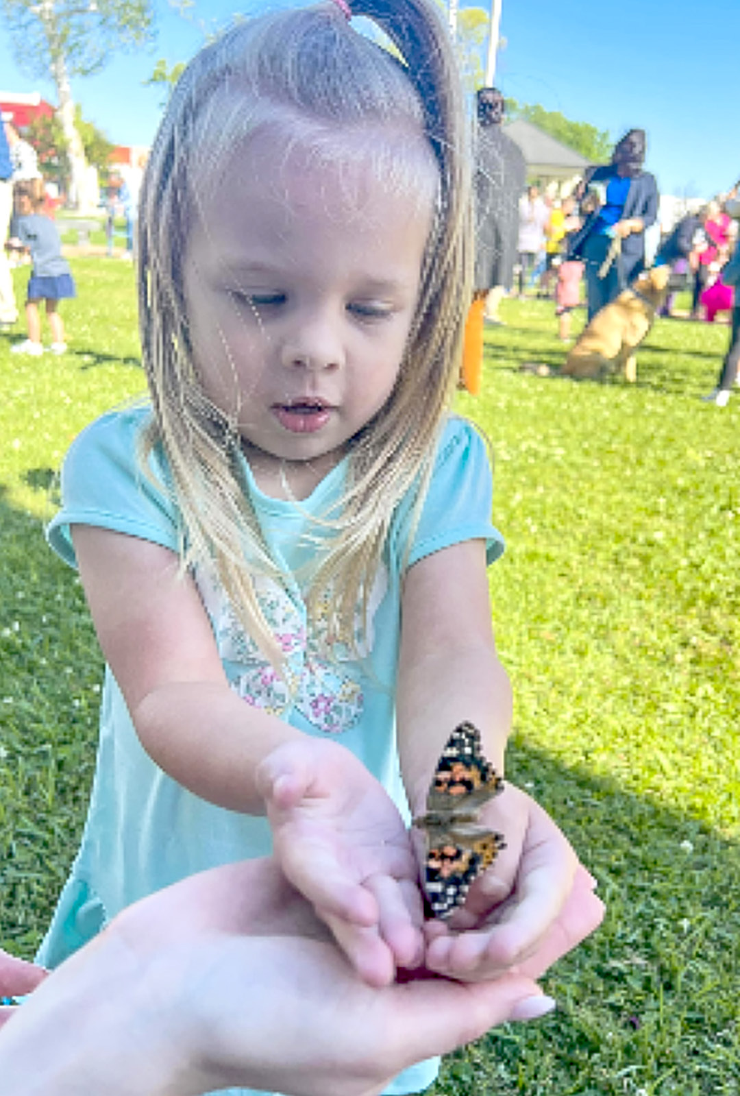 Butterfly Release celebrating 13 years