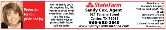 Sandy Cox State Farm 