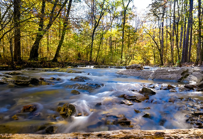 1ST Place tie: Beaver Creek by Anna Jones