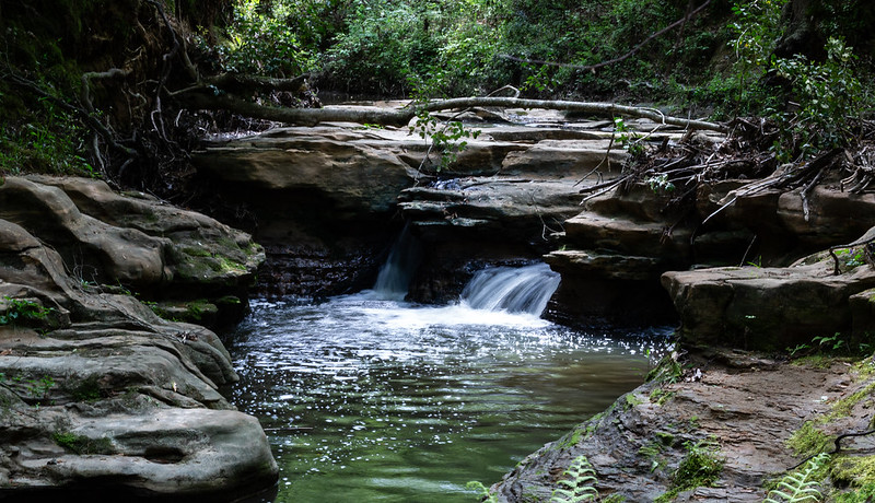 2ND Place tie: Secret Swimming Hole by Summer Koltonski