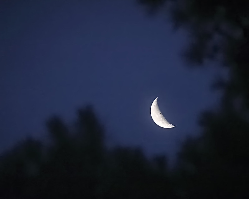 3rd Place Favorite Tie,  Janice Carter, "Moon with Blue Sky"