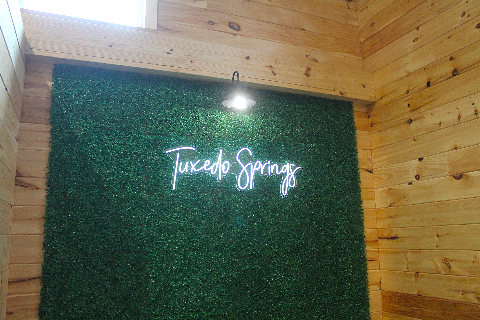 Tuxedo Springs Wedding Venue Grand Opening Ceremony 