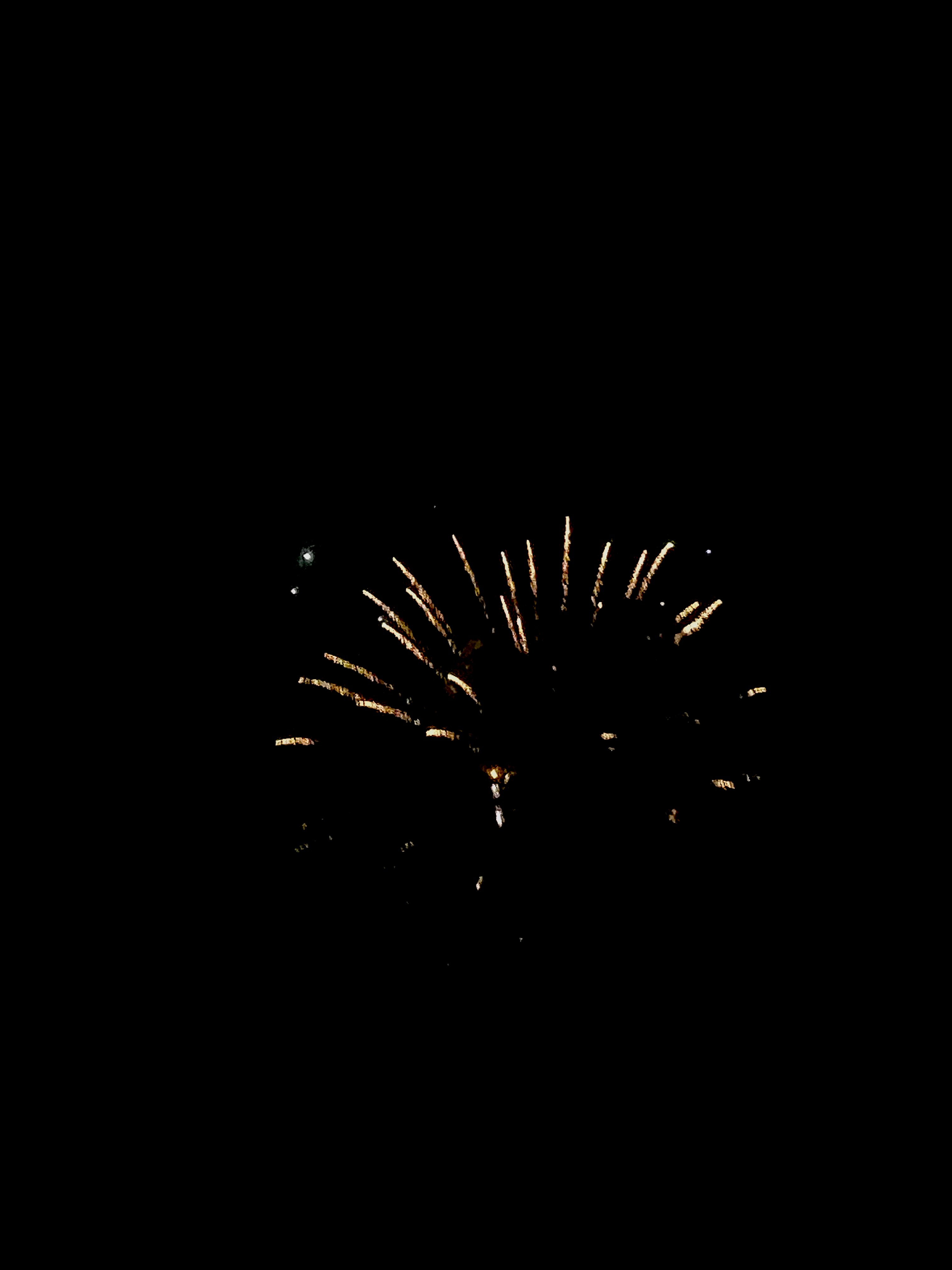 Happy 4th of July! 