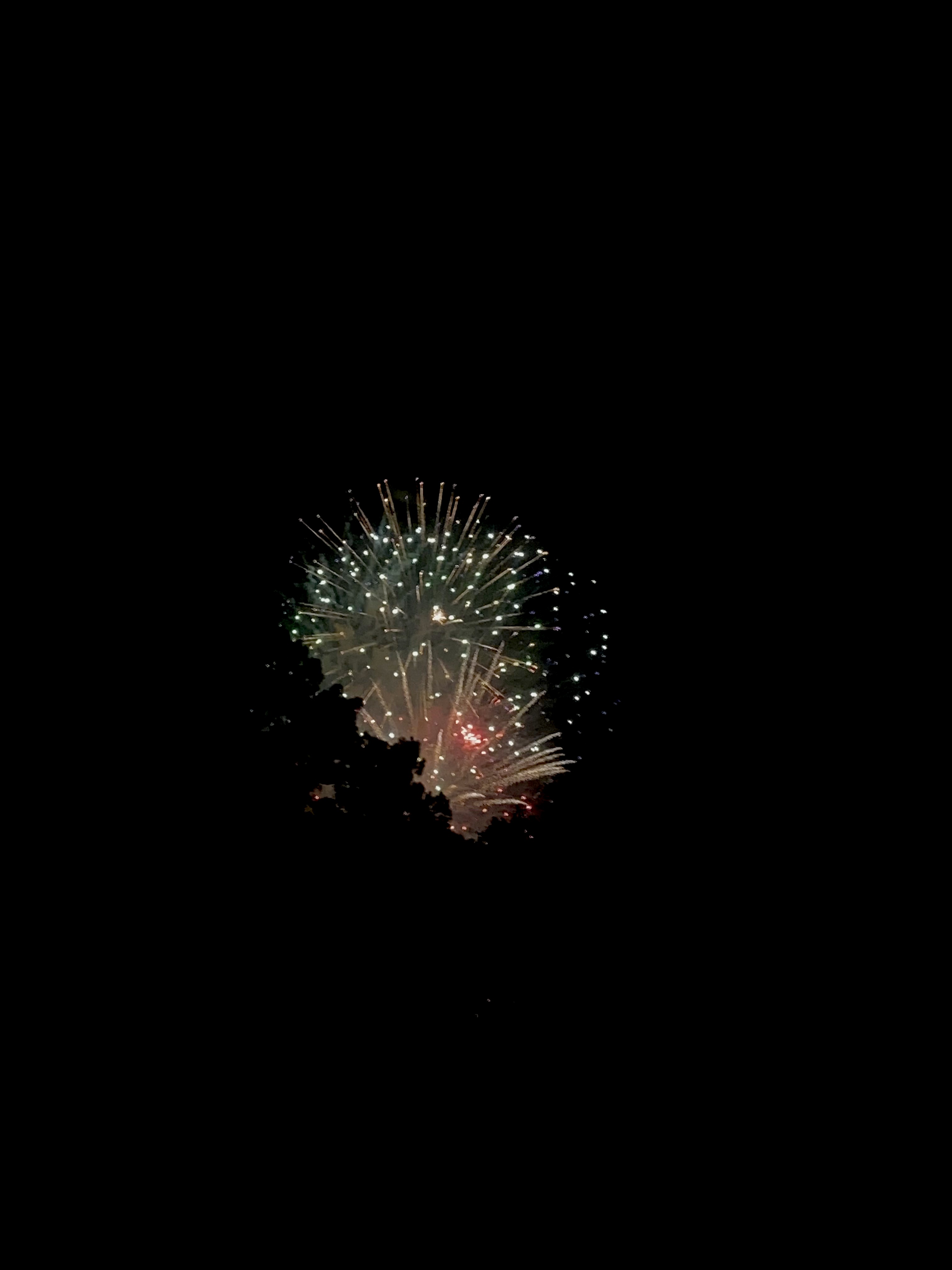 Happy 4th of July! 