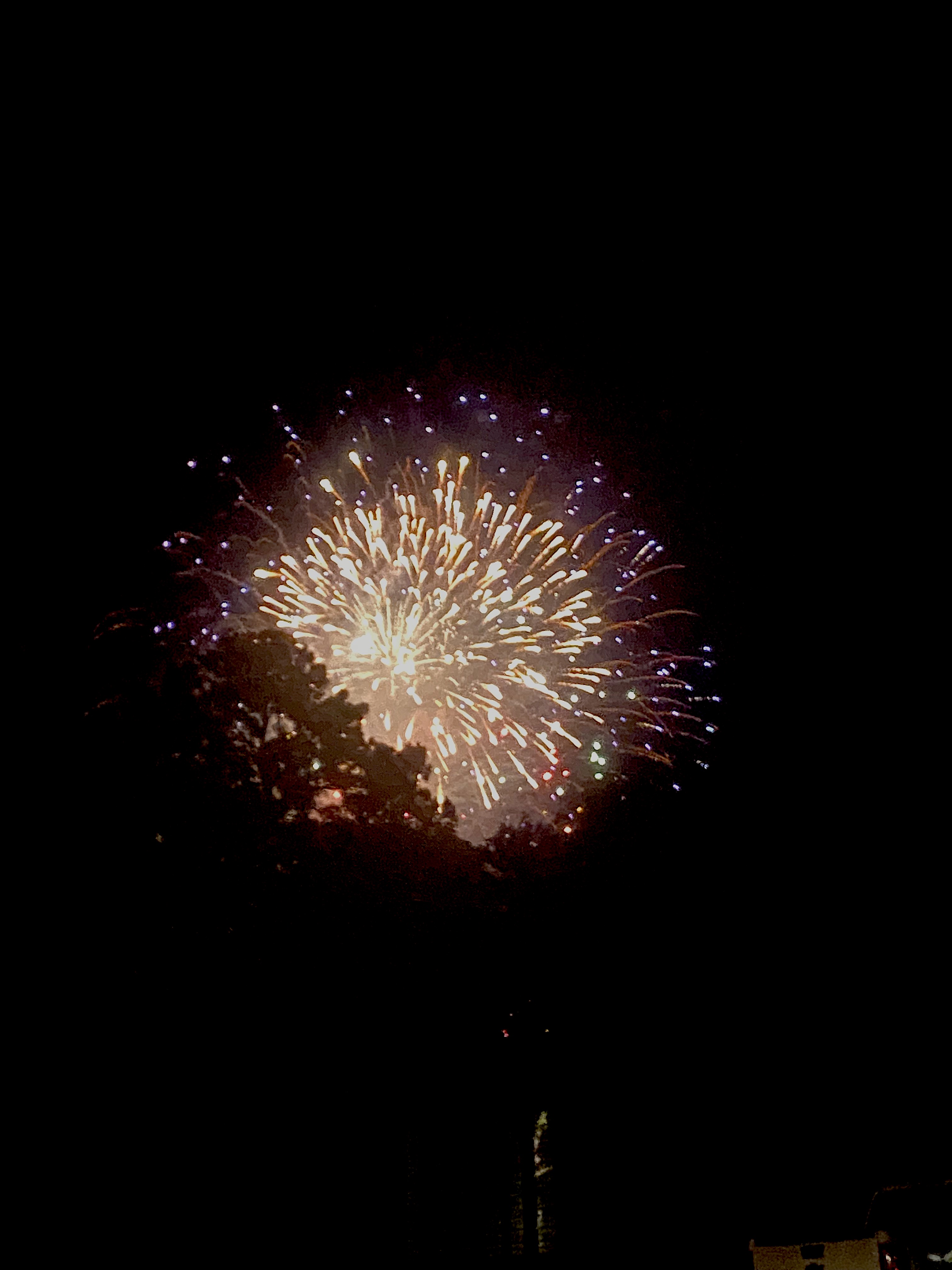 Happy 4th of July! 