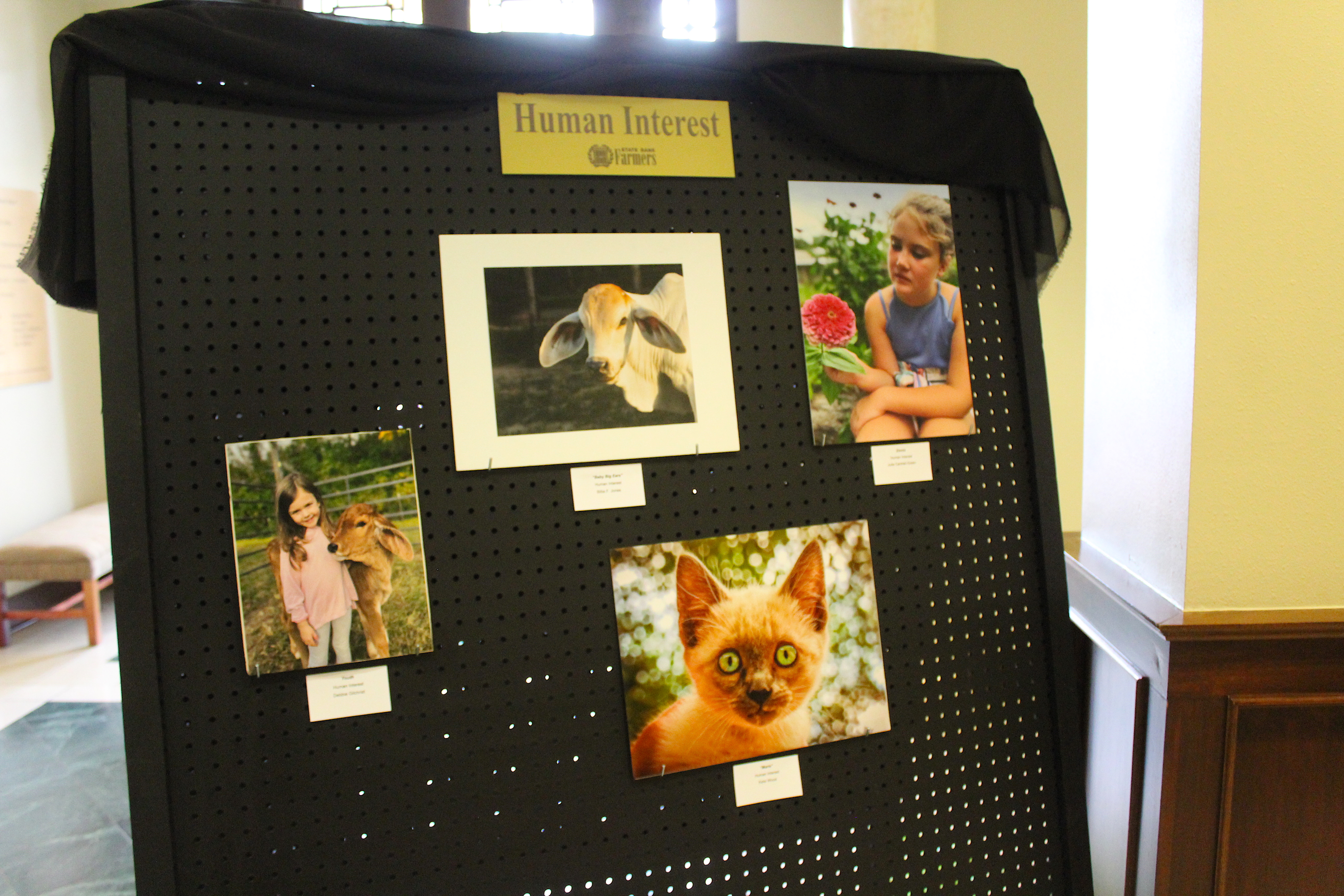 Farmer's Bank East Texas Photo Contest and Exhibition 
