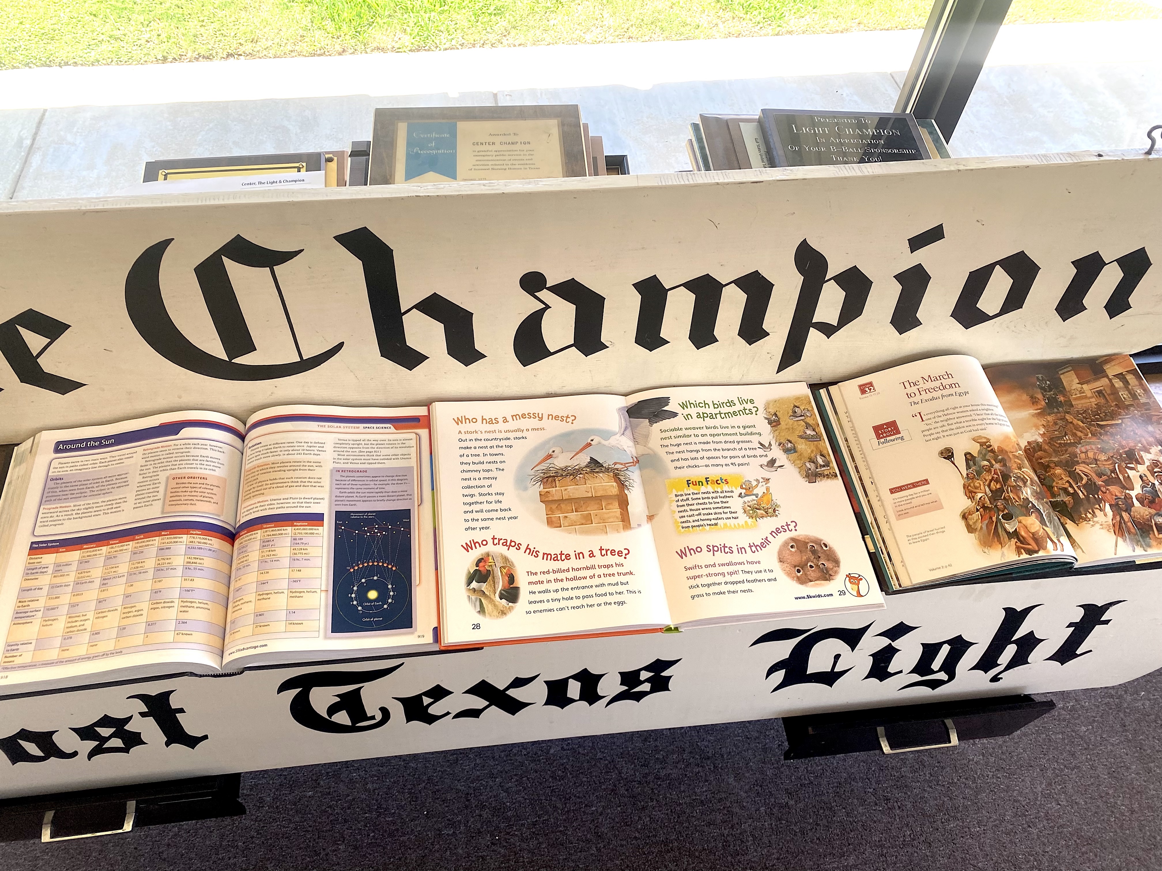 A look into some of the books available for purchase. (Shannon James/ The Light and Champion)