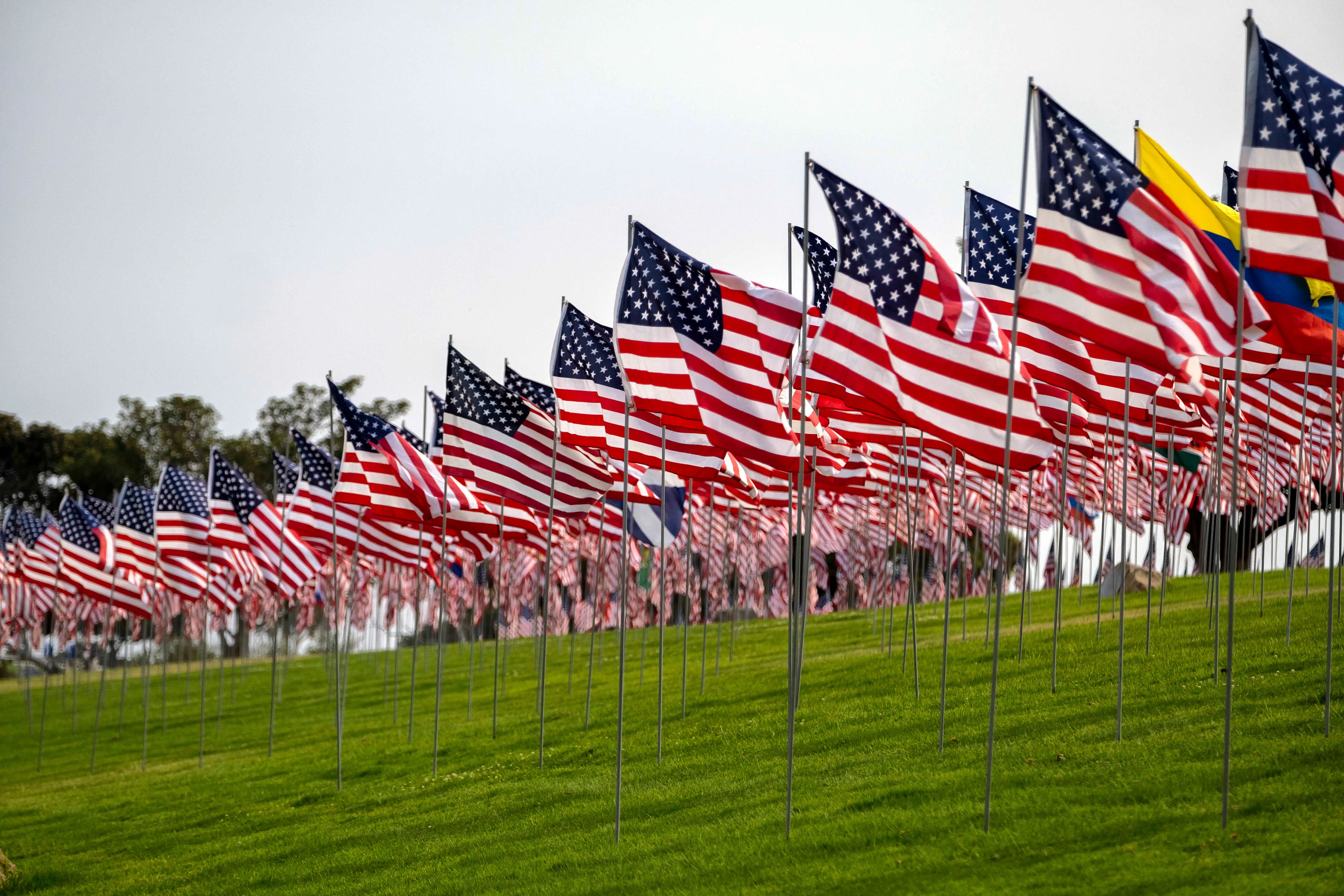 NextGen to place 3,000 9/11 Memorial Flags Sponsored by the Shelby County Republican Party