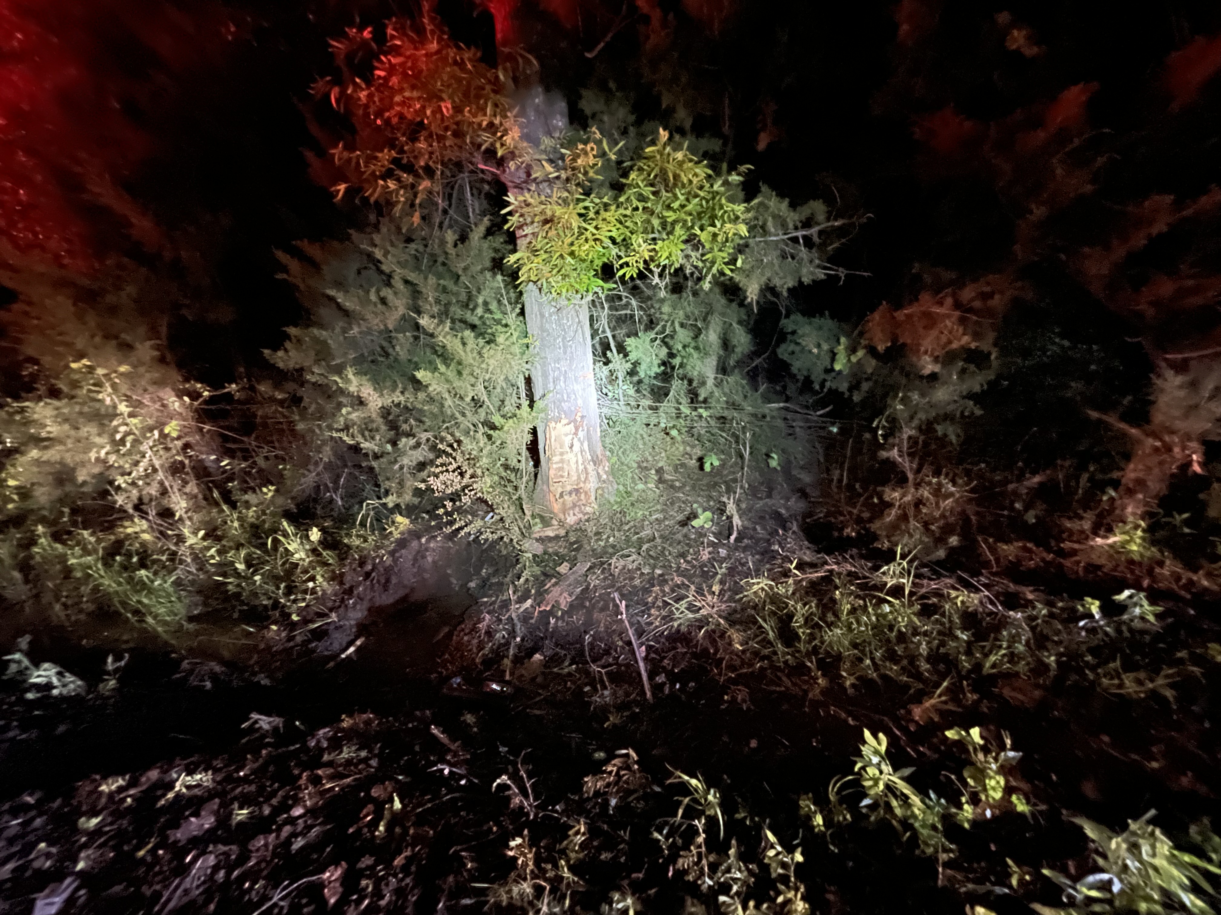 Joaquin VFD Report April 16-22