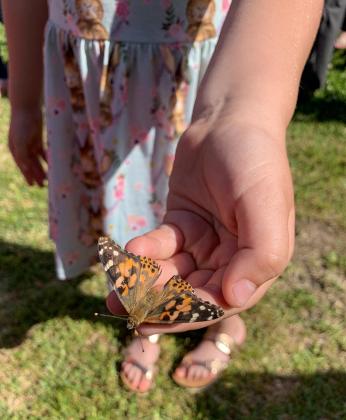 Butterfly Release set for April 7