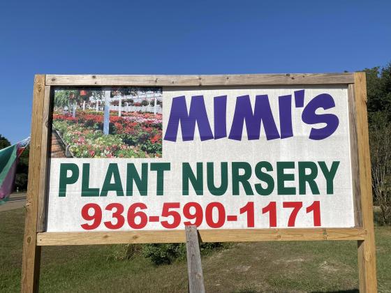 Ribbon Cutting Mimi's Plant Nursery 