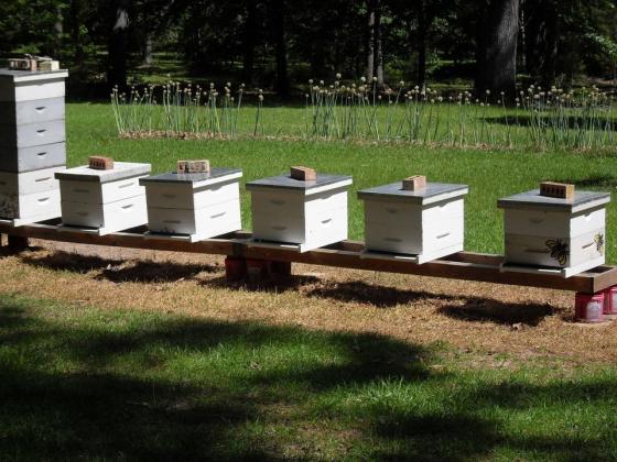 Sabine County Beekeepers September Meeting 