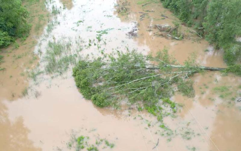 Deep East Texas Cooperative took the picture from a helicopter while surveying the damage. DETCO | The Light and Champion
