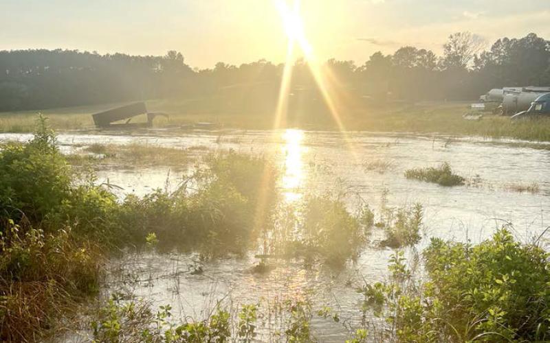 Karen Evans took this photo on June 4, 2024, of her flooded pasture looking up to her house. Karen Evans | The Light and Champion