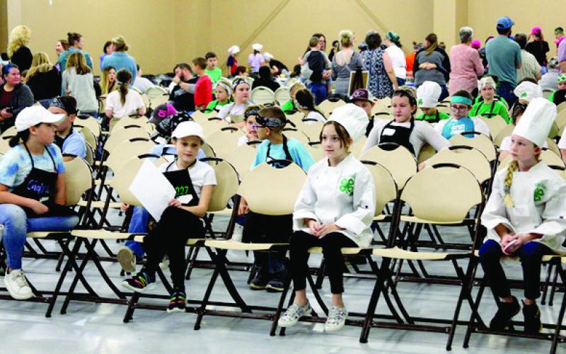 4-H District Food Challenge in Center represented 11 counties