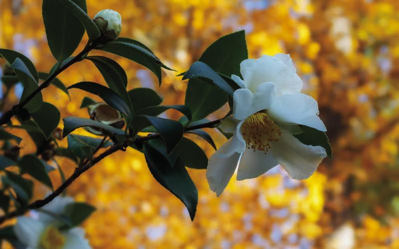 PWPS photo challenge favorites named