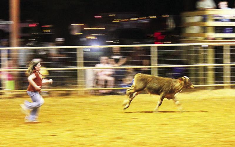 2026 Shelby County Pro Rodeo