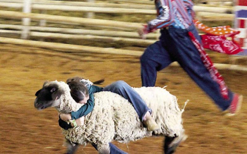2026 Shelby County Pro Rodeo