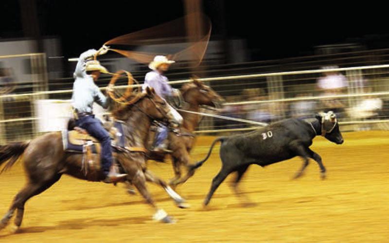 2026 Shelby County Pro Rodeo