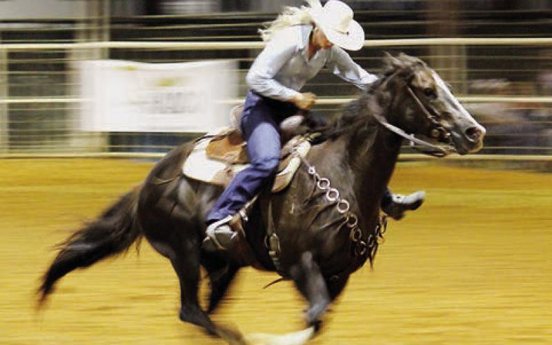 Lisa White | Light and Champion