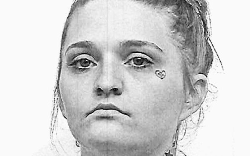Shelby County Jail Log