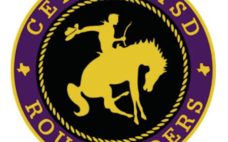 County baseball/ softball round-up