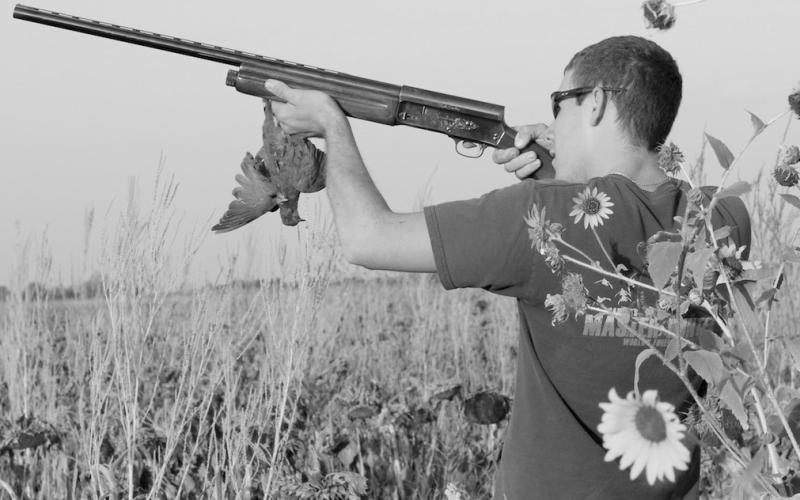TPWD wraps up annual dove call count surveys statewide