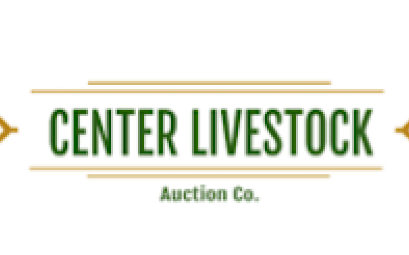 Sale every Wednesday at noon in Center, TX.