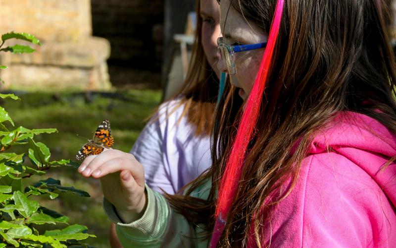 Butterfly Release on the Square: National Child Abuse Prevention Month