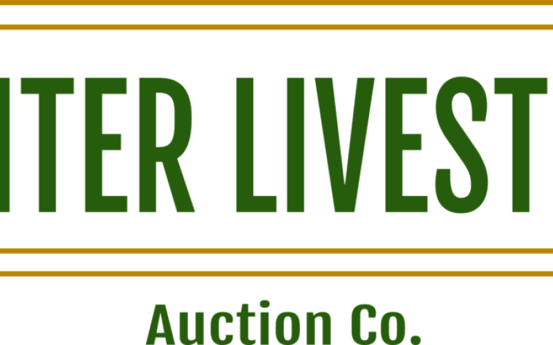 Center Livestock Auction Market Report April 26, 2023