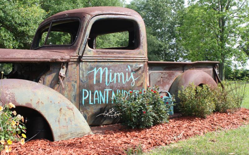 Mimi's Plant Nursery Red Ribbon Cutting Ceremony