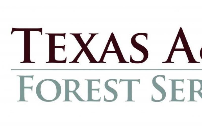 Texas A&amp;M Forest Service warns of fire danger as hot and dry conditions persist