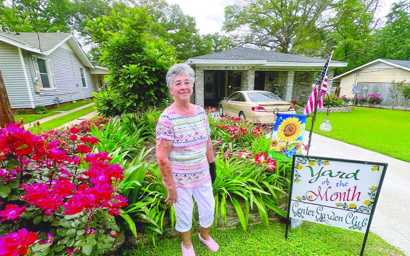 The Center Garden Club has selected the home place of Lois Chandler as Yard of the Month for April. All of the gardening work was done by Ms. Chandler, who loves caring for her red roses and red Amaryllis flower bed. These “fantastical” Amaryllis are prized for their exotic trumpet shaped flowers that add dramatic color to their home on Porter and Carroll Streets. These stunning flowers are said to mean pride, strength and determination for standing so tall above the flowers. Submitted Photo