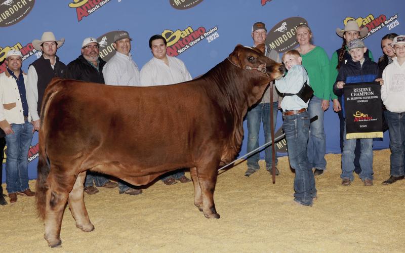 Seale takes Reserve Champion at San Antonio Livestock Show