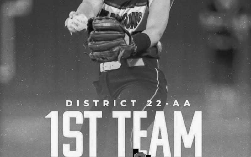 Shelbyville softball players receive state honors