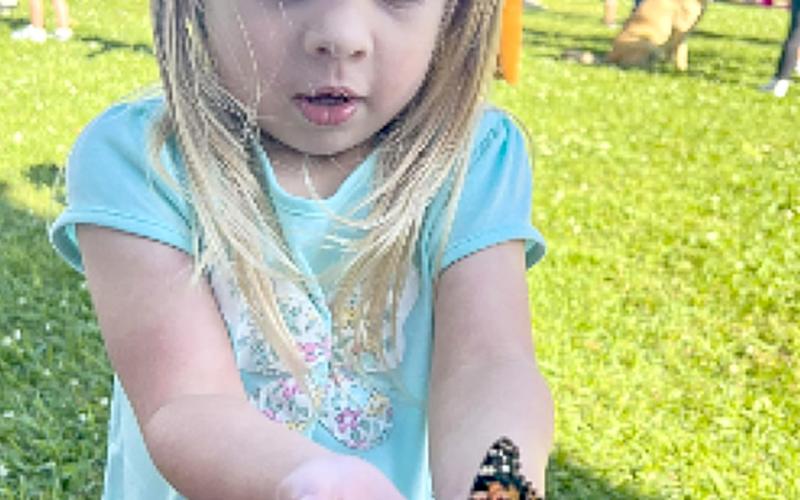 Butterfly Release celebrating 13 years