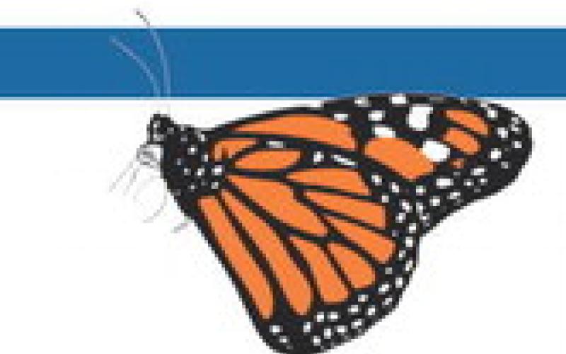 Butterfly Release celebrating 13 years