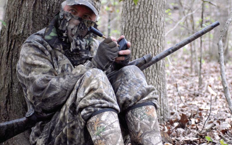 Spring turkey preview