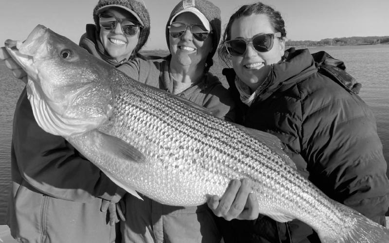 The striped bass is a rough customer that ranks as the fourth most popular fish among Texas’ freshwater fishing crowds behind largemouth bass, catfish and crappie. Lake Texoma is North Texas has for years ranked as the state’s top striper fishery, mainly because it is one of the few freshwater reservoirs in nation where populations are self sustaining. (Courtesy Photo Striper Express)