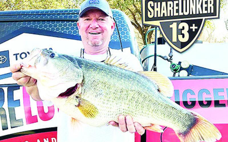 Dale Washington’s 13.38 pounder is the first Legacy Lunker reported from Lake Fork 2021. Washington, who also turned in a Legacy Lunker in 2007, caught his fish blind casting with a Chatterbait and was one of the few anglers who was not actively using forward facing sonar. TPWD Photo