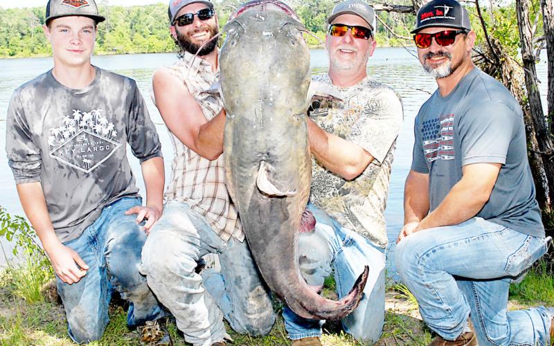 Flathead catfish have lots of aliases. They are frequently referred to as op or yellow cat in these parts. The fish are highly prized among passive fishermen and rod and reelers, alike. Photo by Matt Williams