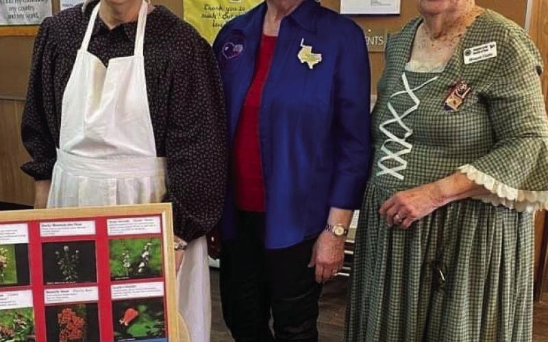 Garden Club hears frontier medicines program