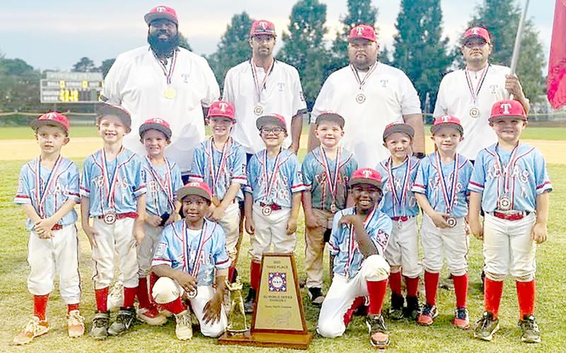 Shelbyville baseball teams excel in season finales