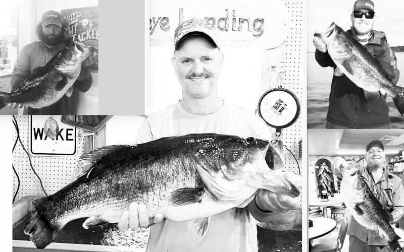 Josh Worth of Grand Junction, Colo. (upper right) was fishing at Toledo Bend in January 2018 when he caught a 9 1/2-pound bass that was pos- sibly the same fish caught by Henry Boudreaux (center) on Aug. 21 and in 2023 by Bernard Fruge (lower right) and Brett Pruitt (upper left).
