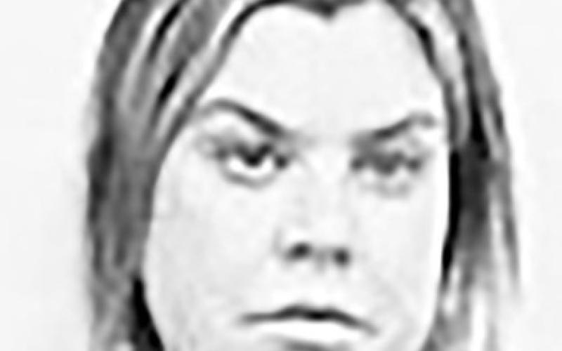 Shelby County Jail Log