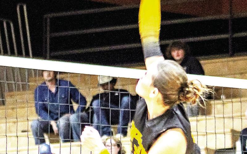 Timpson’s Paige Molloy makes a shot at the net in the Lady Bears’ hard fought match against Detroit that saw the Timpson team fall short of advancing to the next round of the playoffs. Savannah Cassell | Timpson ISD Student Media Intern