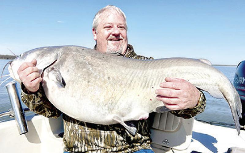 Kevin Williford of Woodville made a trip to Lake Tawakoni in mid-March with high hopes of reeling in a blue catfish heavier than the 72 pounder he caught there seven years ago. Fishing guide Michael Littlejohn delivered the goods by putting the angler on this 74.5 pounder. The fat cat ate a big slab of fresh carp Williford was drifting over an underwater point in about 18 feet of water. Courtesy Photo