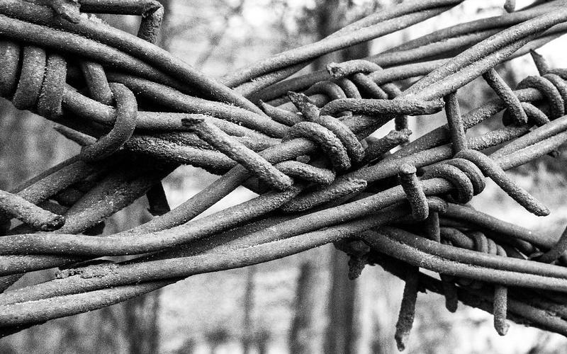 ‘Still Life Photography’s March PWPS photo challenge