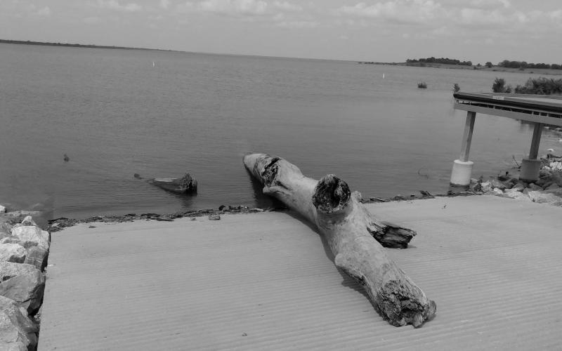 Large logs like this one that drifted ashore at one of the public boat ramps will pose potential hazards to boaters for quite a while. (Dan Bennett Photo)