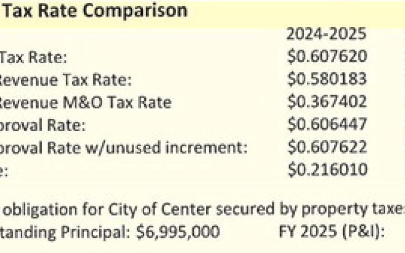 Council accepts the 2025 budget with minor tax rate increases